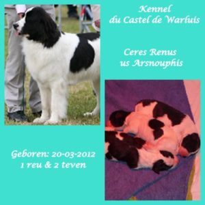 pups ceres